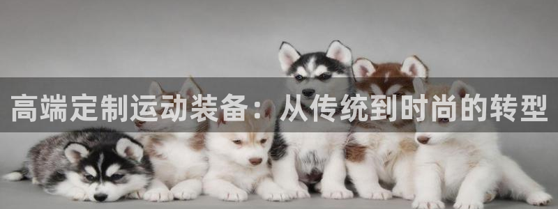 征途国际娱乐代理怎么样:高端定制运动装备:从传统到时尚的转型