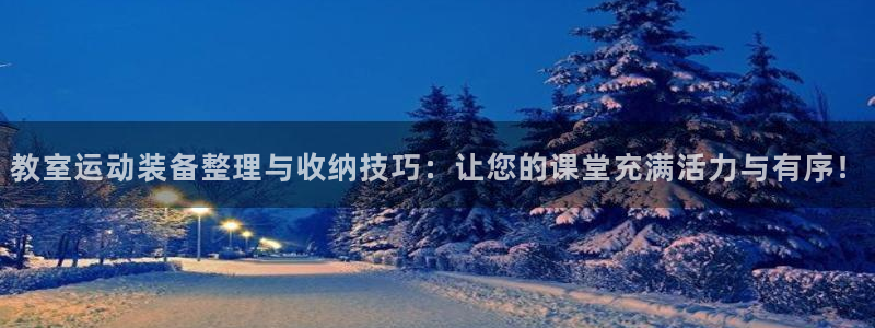 德国征途国际集团:教室运动装备整理与收纳技巧:让您的课堂充满