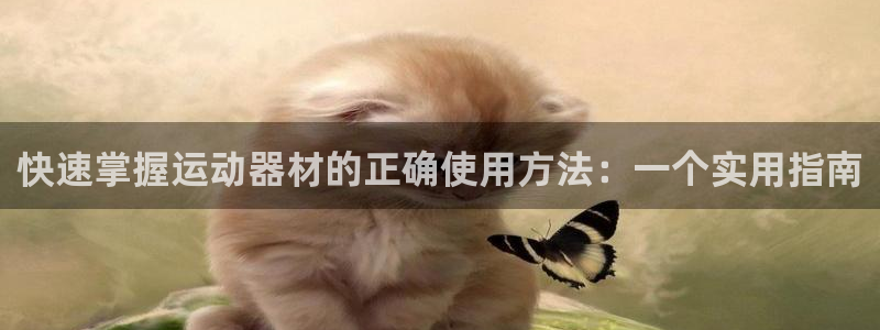 征途国际平台注册要钱吗是真的吗:快速掌握运动器材的正确使用方